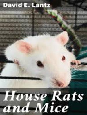 House Rats and Mice